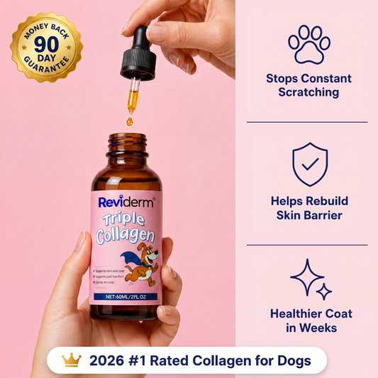 Skin & Coat Triple Collagen